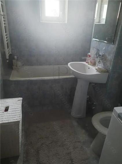 Apartament 1 camera confort 1 Buziasului - 4