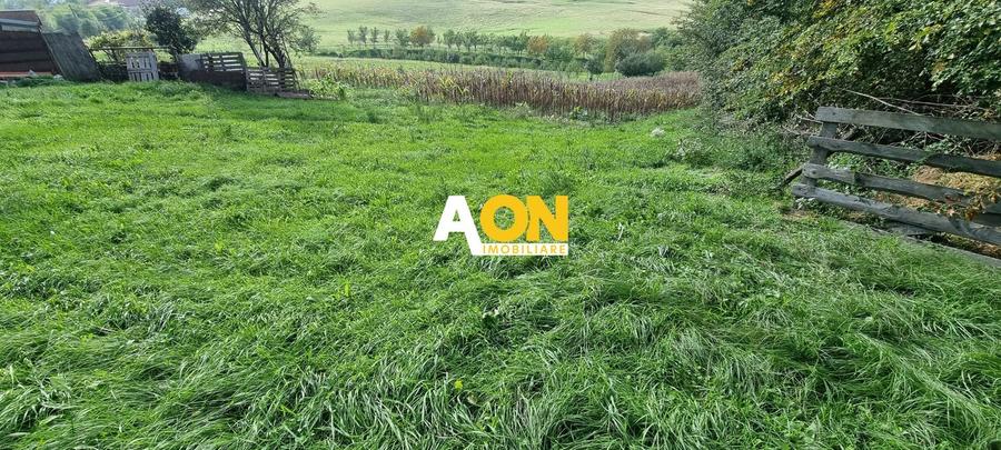 De vanzare 4003mp teren , Oarda de Sus - 4