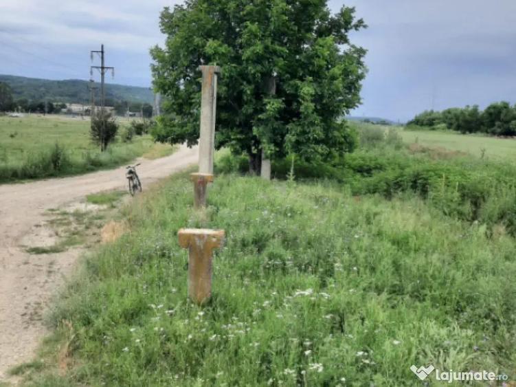 Teren extravilan de vanzare, 4900 mp, Bolde?ti Scaieni - 2