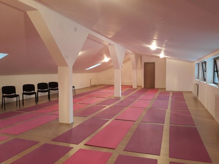 Vila istorica renovata Universitate - Pta Rosseti - 5