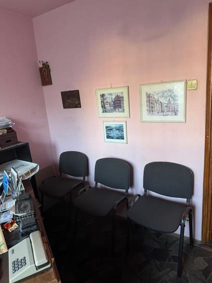 PIATA VICTORIEI ADIACENT DIN BD. TITULESCU, VERONICA MICLE - 11