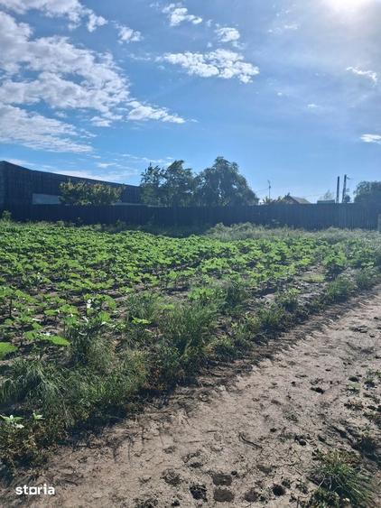 Teren agricol 1000mp, acces asfaltat, 35.000 EUR - 3