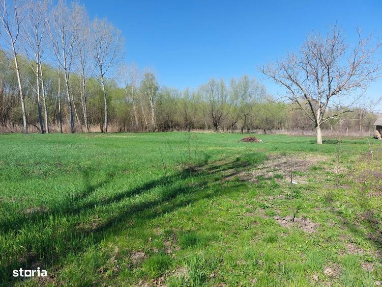 Oaza de liniste cu izvor natural si padurice - 3800 mp in Mastacani - 8