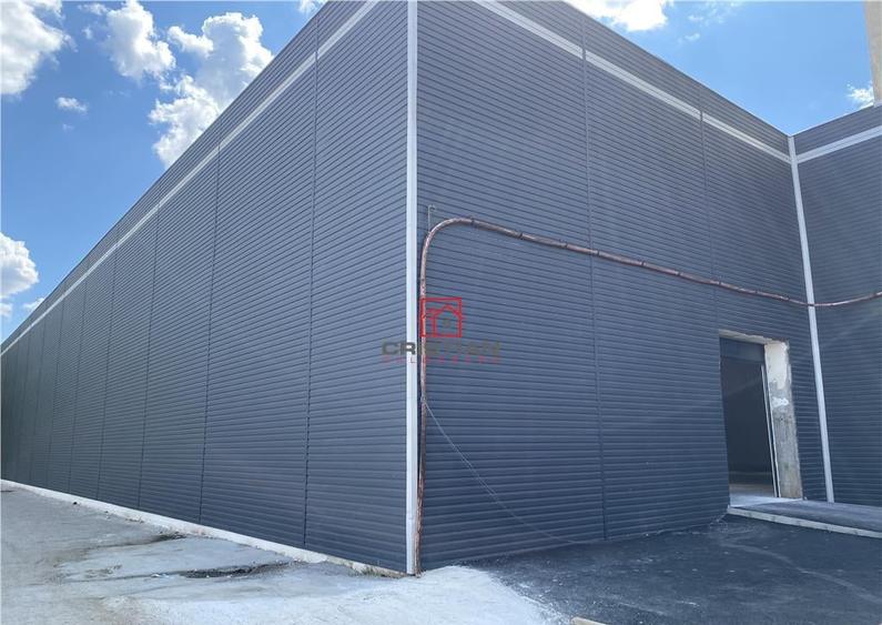 Depozit/hala/spa#539;iu industrial Jilava - Giurgiului, Ilf - 2