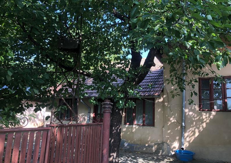 Vand casa, teren 2700 mp, com. GROJDIBODU, jud. OLT - 1