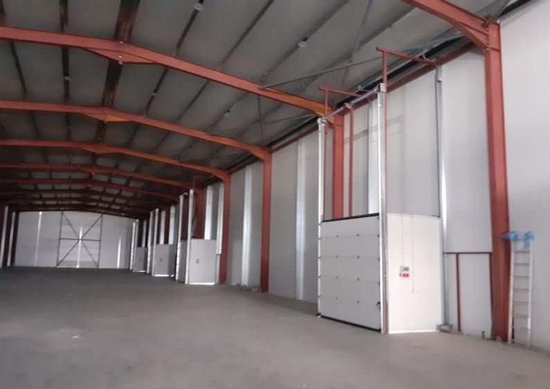 Zona Drumul Intre Tarlale - hala 1125 mp din care 200 mp ... - 6