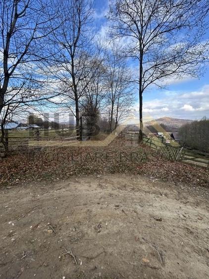 Teren Zarnesti | Tohanita | Intravilan | PUZ aprobat | Fara Utilitati | 9.053mp - 15