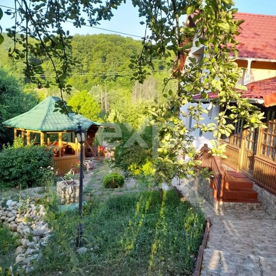 Casă la țară complet mobilată, 5.500 mp teren – Toplița, Mălureni, Argeș - 1