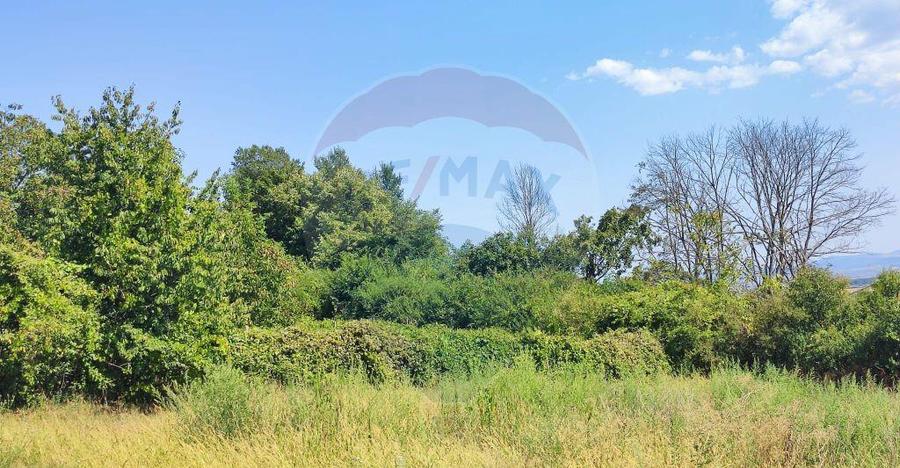 Loc de casa si teren cultivat cu vita de vie 1,28 Ha Sant... - 9