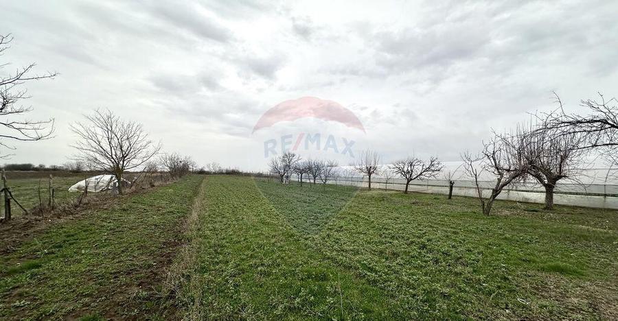 Teren 1944 mp + Casa - 65 mp, Darasti-Vlasca Giurgiu/ 20 ... - 12