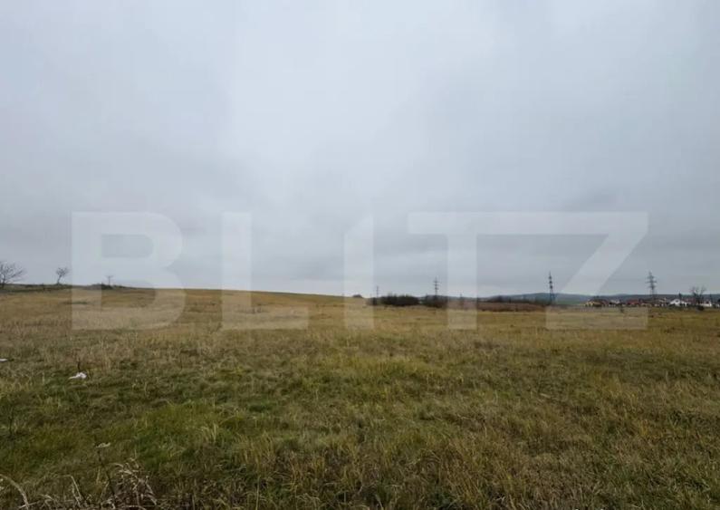 Teren intravilan in Pricaz 4416 mp - 1