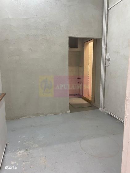 Spațiu comercial Calea Calarasilor - Popa Nan - 8