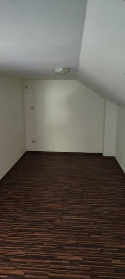 Casa+ casa batraneasca Surupate(Comuna Francesti, Valcea) - 13