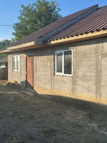 Casa BCA+gradina,vie,fantana, gard nou suprafata totala 1723m 17500 - 5