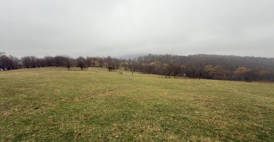 Teren spectaculos 3,5HA zona Cisnadioara - 5