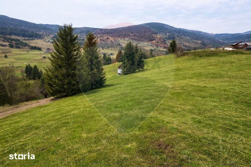 Teren de vanzare in inima Apusenilor 6.500 mp Arie?eni - 3