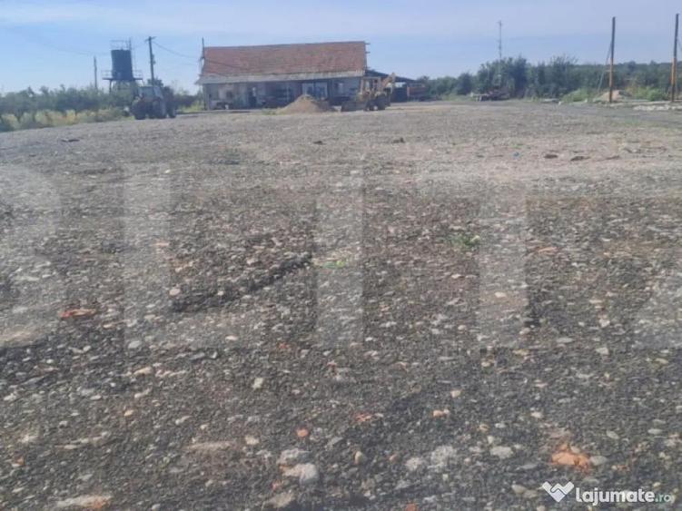 ???? Hala industriala 370 mp + teren 10.000 mp | DN72 Suta - 6