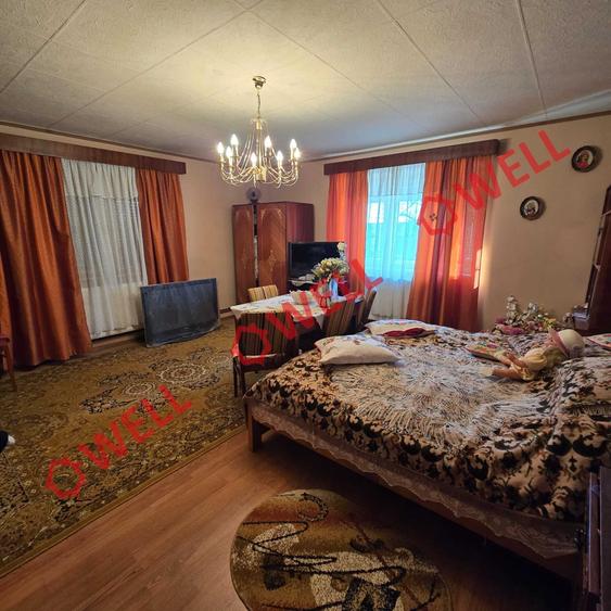 Casă familiară de vânzare în Bixad! - 16