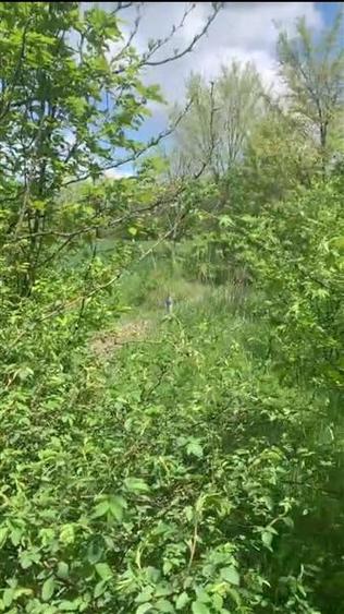 Teren intravilan 500 mp - Ganeasa - 1