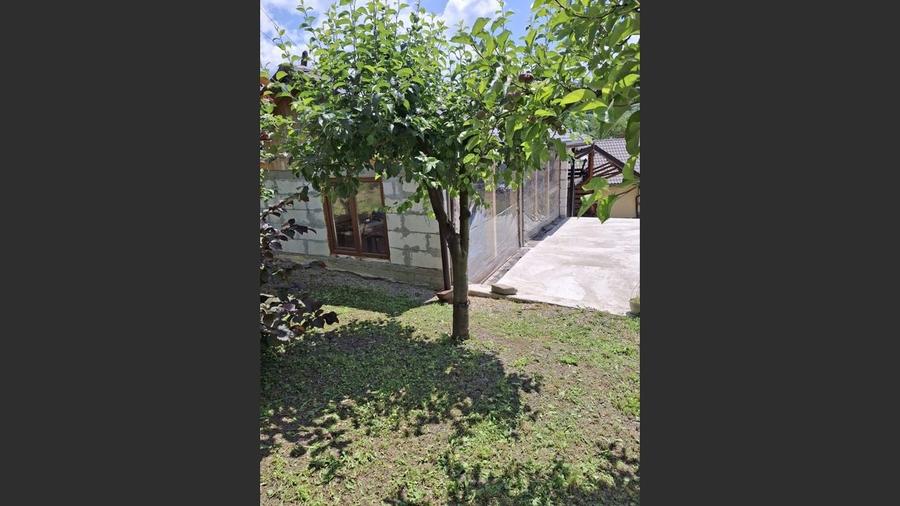 Casă 3 dormitoare la rosu Drajna - 2