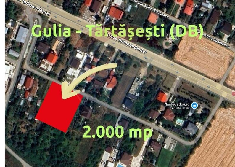 Teren Gulia - Tărtășești (IF) 2000 mp – deschidere mare, zonă selectă - 1