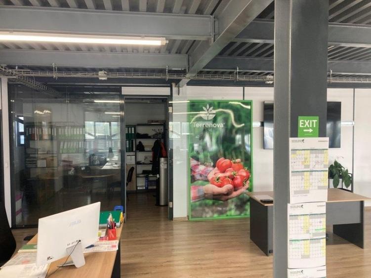 Hala de inchiriat Bucuresti-Popesti Leordeni - 8