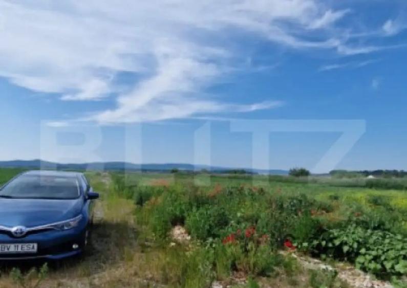 Teren extravilan, 1203 mp pretabil pentru investitie ,casa p - 1