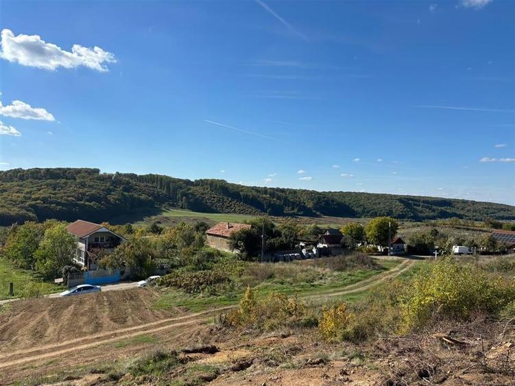 RECO Teren intravilan Betfia - 1