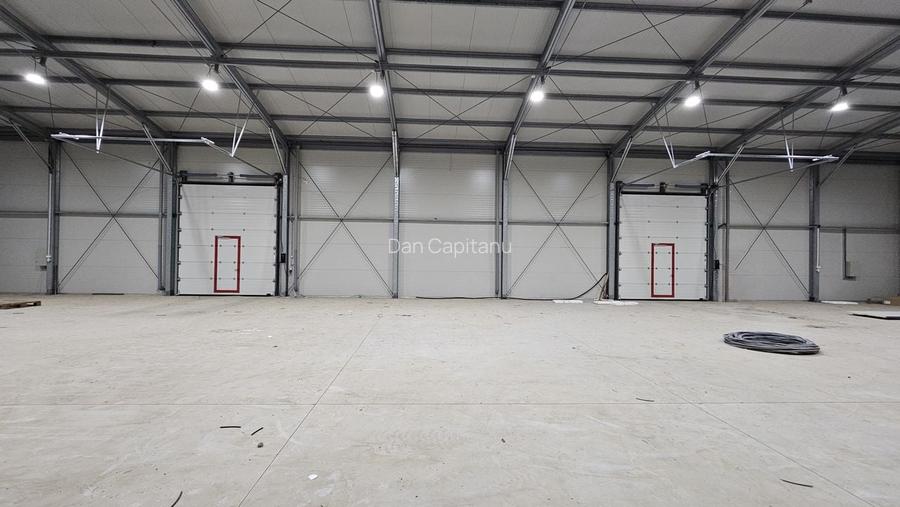 Hale noi in zona Progresul, Jilava