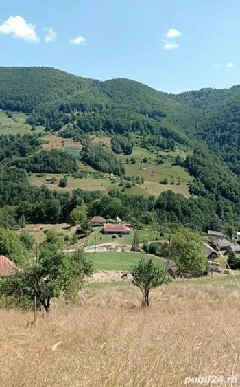 Vand schimb cabana la munte - 3