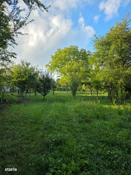 Teren 2500 mp POTEN?IAL BUSINESS / DEZVOLTARE Breaza - 1