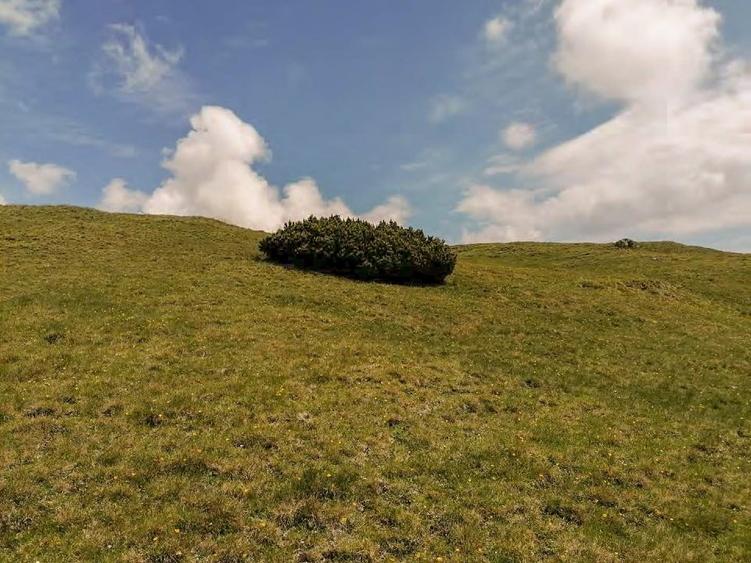 terenuri in Bucegi, Zona Alpina Inalta, pentru dezvoltare cabane, vile turistice - 5