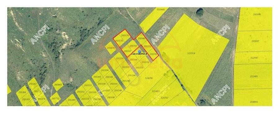 Teren de vanzare extravilan pe Valea Chintaului, 3.500/?/30 /? - 2