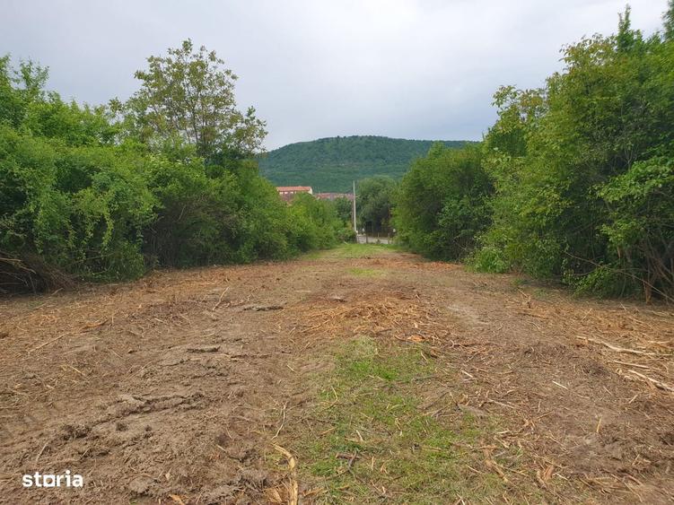 Turnu Rosu | 1.800 MP | Teren Intravilan - 5