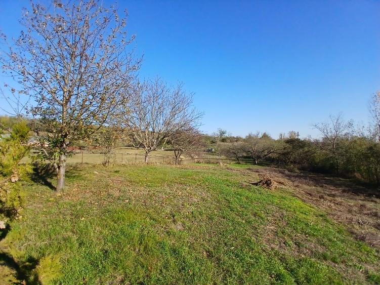Vand casa batranesca - 5