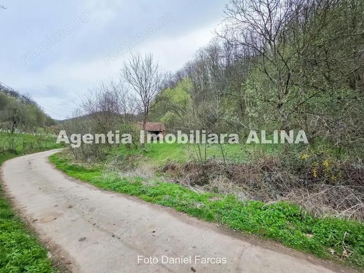 Teren intravilan 1.700 mp + 6.600 mp Padure de foioase + 1.200 mp Padure de foioase, Sat Nojag. - 1