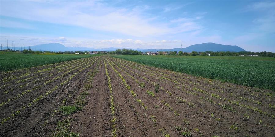 Teren  Zona Stupini Merilor  1693 Mp Intravilan - 4