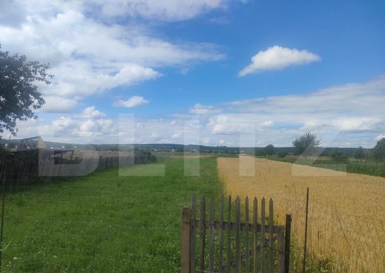 Teren intravilan la sosea, 6400 mp, Vicov de Sus - 1