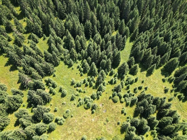 De vanzare teren Extravilan(faneata)-Belis,Cluj - 2