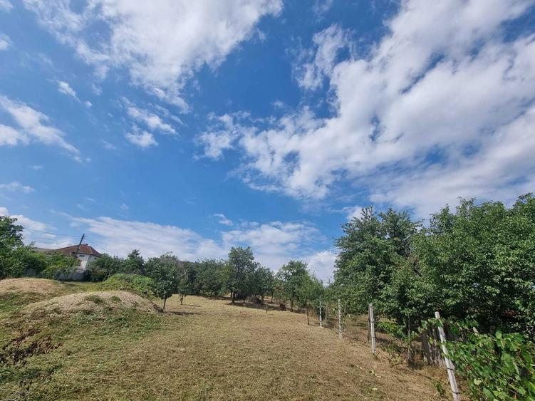 Anunt de Vanzare Teren in Viile Satu Mare Titlu: Teren Ideal pentru Constructie Strada Libertatii nr. 4 - 6