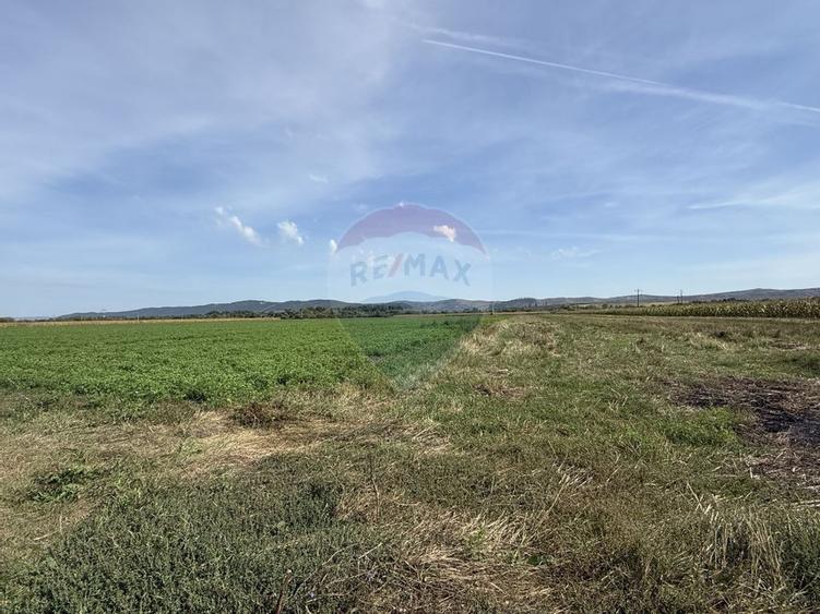 Teren Investitii 2.5 Ha | Zona Tetarom III Rascruci - 3