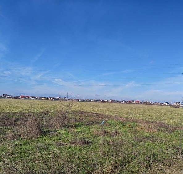 OFERTĂ VÂNZARE TEREN INTRAVILAN – MĂGURELE, STRADA STEJARULUI - 6