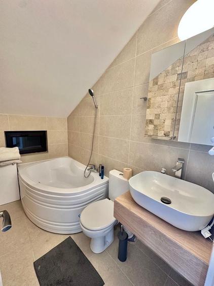Proprietar vand sau schimb casa de vacanta Gulia Tartasesti Buftea Crevedia Mogosoaia mobilata si utilata - 3