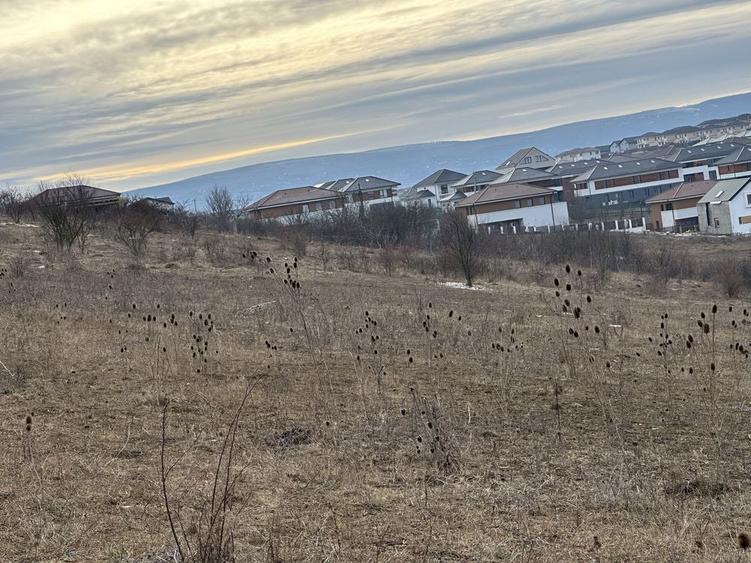 Persoana fizica vand teren intravilan Dezmir 9400 mp - 2