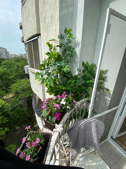 Apartament | 2 camere | Piata  Alba Iulia | Burebista - 19