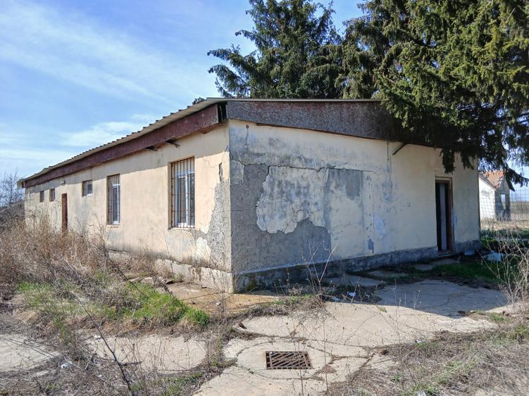 Teren intravilan 16400 mp, Balotesti-Saftica - 50 euro/m2 - 7