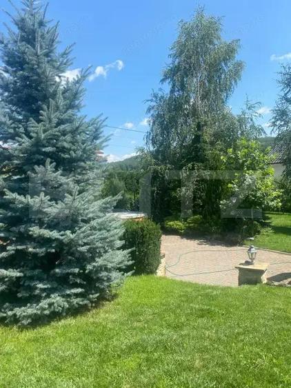 Casa individuala, 1600 mp teren, mobilata si utilata de lux, zona Burdujeni - 4