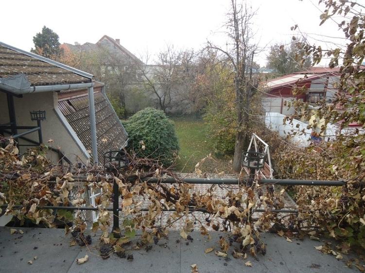 Inchiriere casa pentru locuit/birouri, zona Budiului - 15