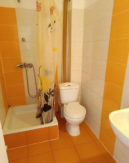 Garsoniera ( ap. 1 camera) Dragos Voda - 7