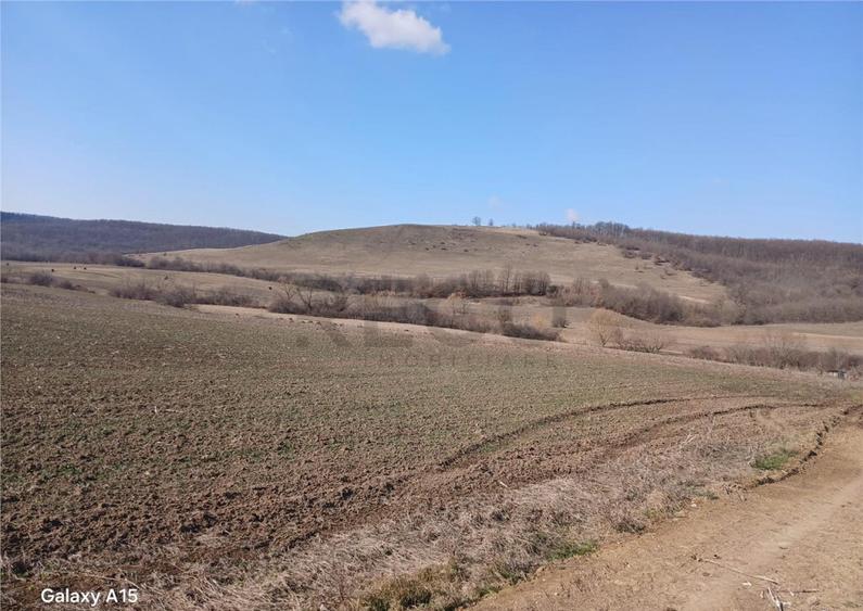 RECO teren Mierlau - 4